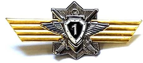 Нагрудные знаки классности контрактник фото
