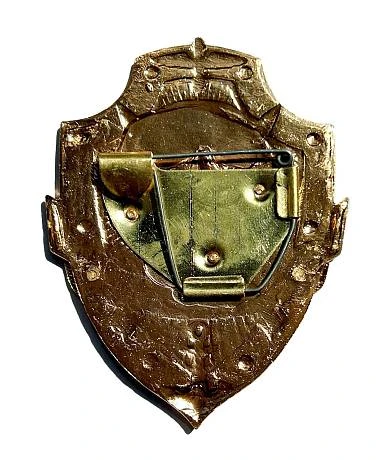 Знак Дежурный по БАТАРЕЕ фото