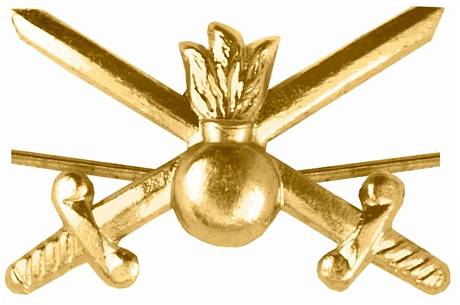 Эмблема петличная петлицы сухопутных войск РФ на офисная форма фото